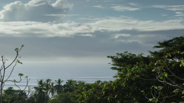 Copas de árvores sobre belas paisagens marinhas — Vídeo de Stock