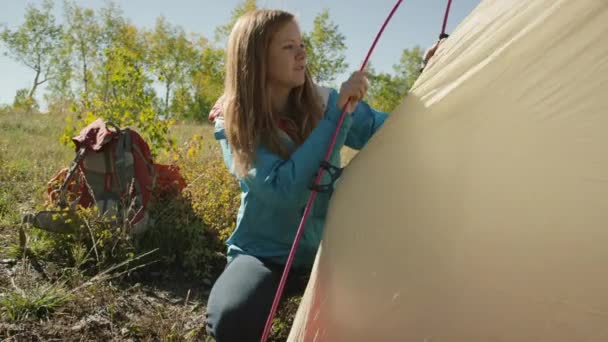 Randonneurs assemblant tente de camping près de la montagne — Video