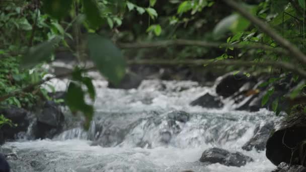 Hermosa cascada y arroyo — Vídeo de stock