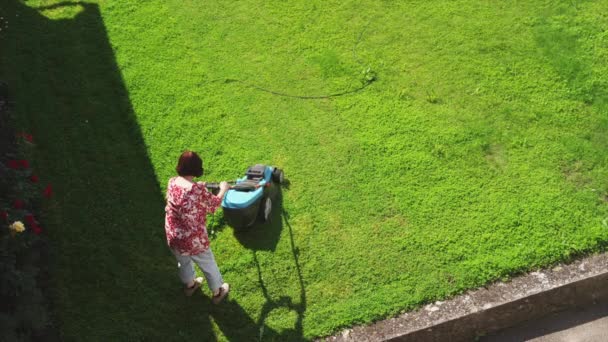 Mulher cortando quintal — Vídeo de Stock