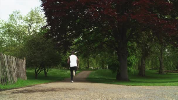 Mann joggt im St. James Park — Stockvideo
