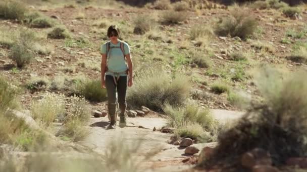 Mujer excursionista caminando con perro — Vídeo de stock