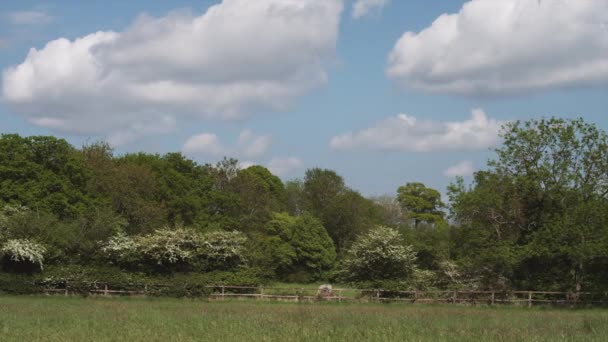 Vidéki táj-Wiltshire-ben — Stock videók