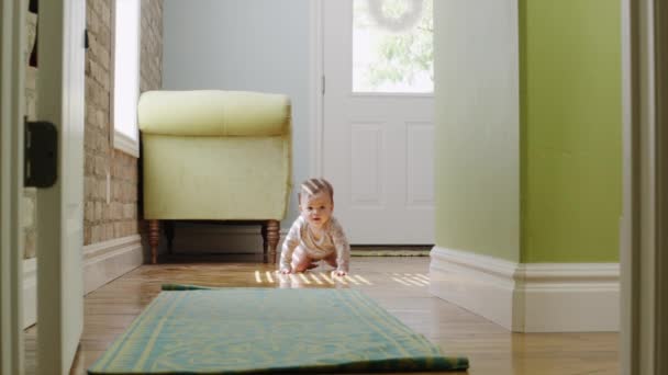 Little Boy crawling — Stock Video