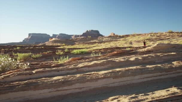 Woman jogging in desert landscape — Stock Video