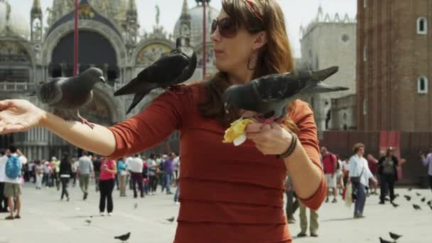 Жінка годує голубів — стокове відео