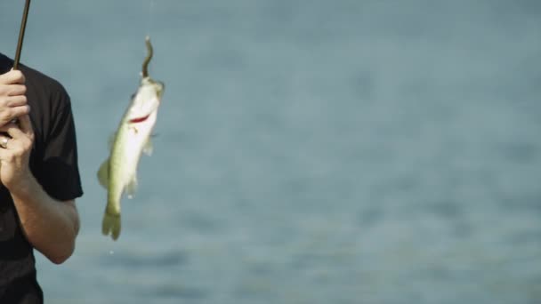 Sorrindo homem com peixe na vara — Vídeo de Stock