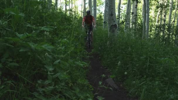 Hombre montando bicicleta de montaña en el camino del bosque — Vídeos de Stock