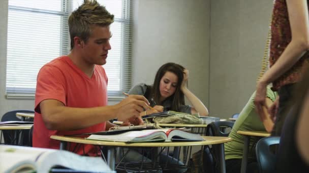 Estudiante haciendo preguntas al profesor — Vídeos de Stock