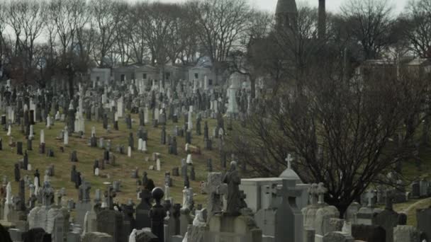 Pietre tombali nel vecchio cimitero — Video Stock