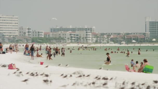 Personas relajándose en la playa — Vídeos de Stock