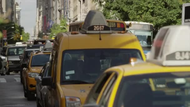 Tráfego na rua da cidade — Vídeo de Stock