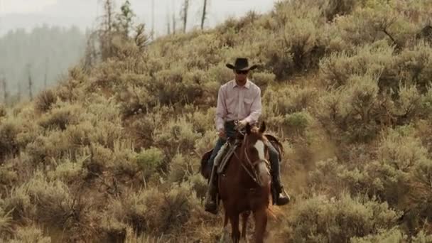 Man horseback riding down hillside — Stock Video