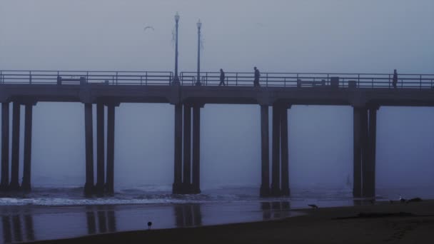 Gente caminando en el muelle — Vídeos de Stock