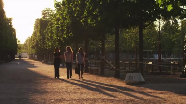 Drei Frauen gehen im Park spazieren — Stockvideo