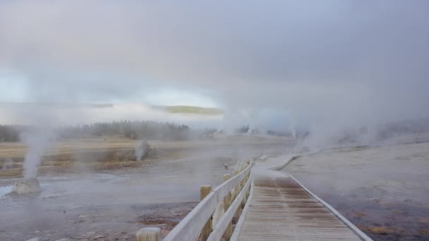 Bacino geyser attraversamento ponte pedonale in legno — Video Stock
