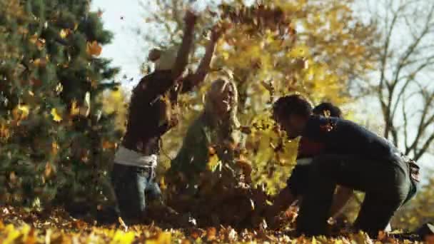 Hommes et femmes jetant des feuilles dans le parc — Video