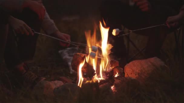 İnsanlar kamp ateşi lokum kızartma — Stok video