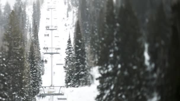 Ski lift between forest — Stock Video