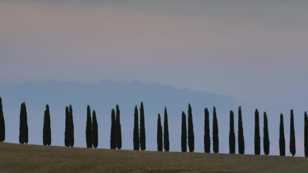 Árvores no campo italiano — Vídeo de Stock