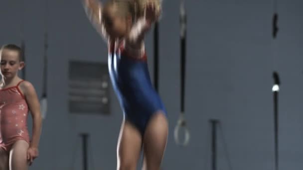 Chicas haciendo ejercicio en el gimnasio — Vídeos de Stock