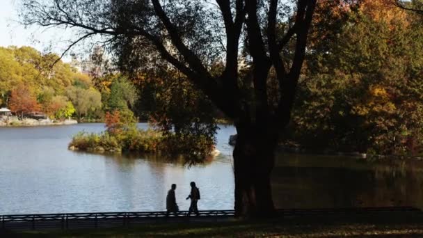 Silhouettes of people walking by lake — Stock Video