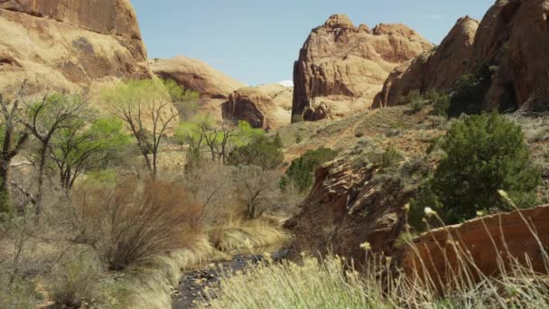 Panoramautsikt över canyon creek — Stockvideo