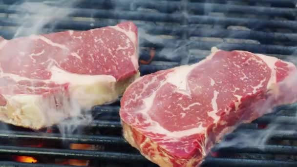 Raw steaks on barbecue grill — Stock Video