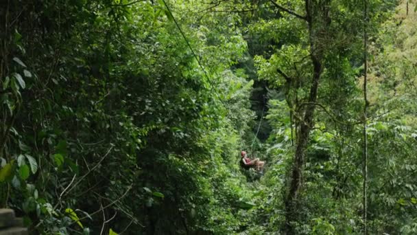 Donna ziplining ad atterraggio nella foresta — Video Stock