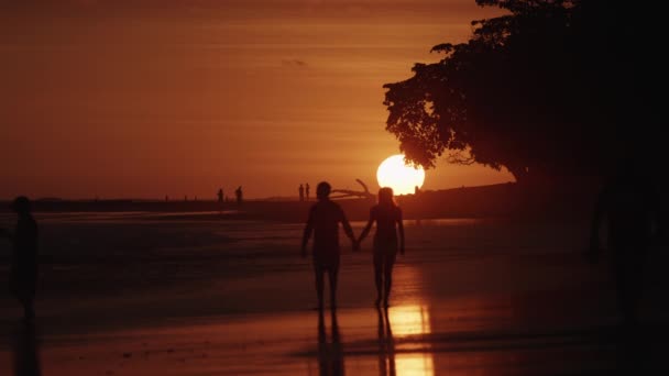 Pareja romántica en la playa — Vídeo de stock