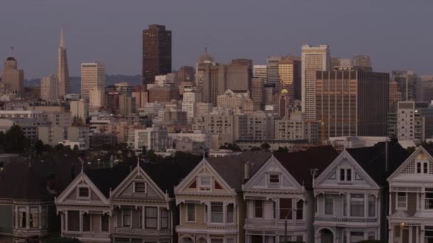 View from Alamo Square Park on buildings — Stock Video