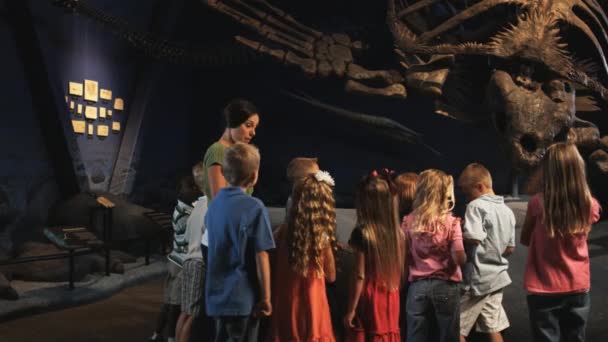 Groupe d'enfants dans le musée d'histoire naturelle — Video