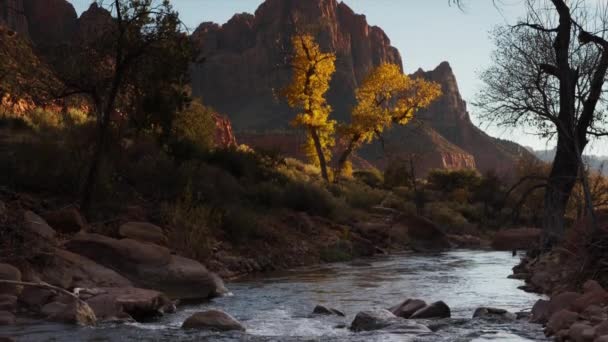 Dağ ve akışı içinde Zion National Park — Stok video