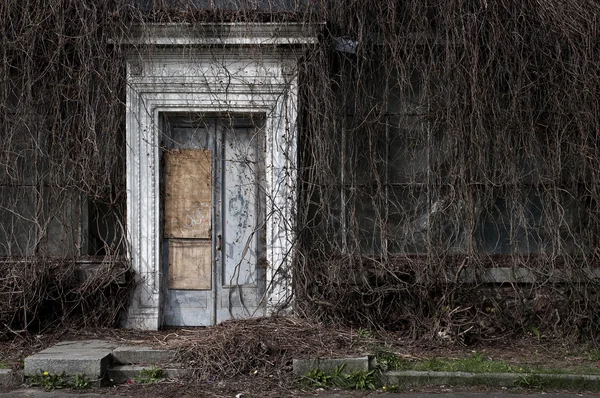 Door to an old abandoned orangery — Stock Photo, Image