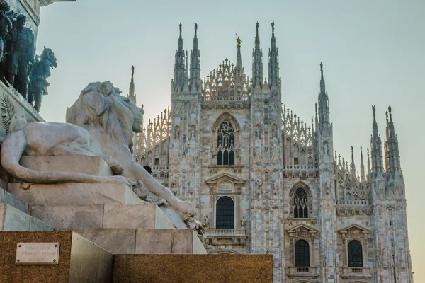 Milano ortasına katedralde