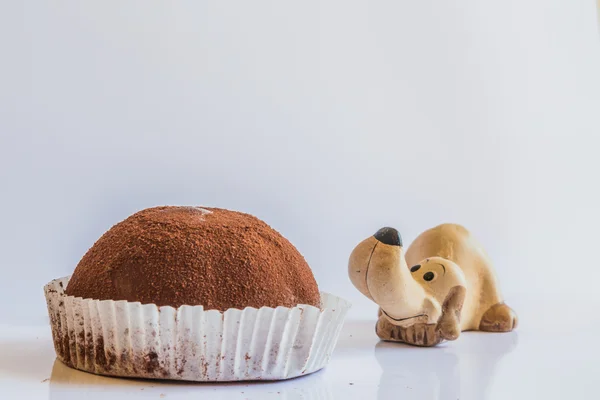 Truffle köpek