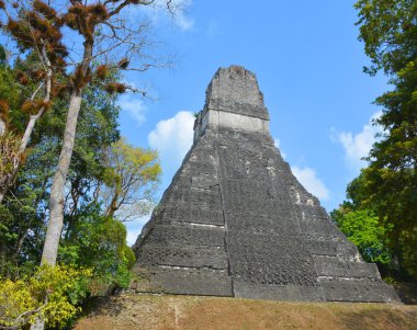 Tikal Ulusal Parkı