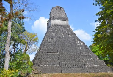 Tikal, Guatemala - 3 Mayıs 2016: Guatemala Tikal Ulusal Parkı 'ndaki Kolomb öncesi Maya uygarlığının arkeolojik alanı 1979' dan beri Unesco Dünya Mirası Alanı 'dır.