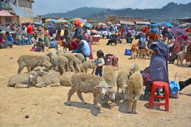 Quetzaltenango Guatemala 28 Nisan 2016: İnsanlar Quetzaltenango pazarı satıyor. Bu yerel pazar Orta Amerika 'nın en renkli pazarıdır.
