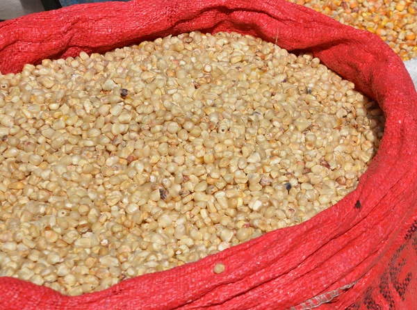 Nasiona Kukurydzy Rynku Gwatemali — Zdjęcie stockowe