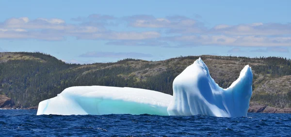 Iceberg, Cap Bonavista — Photo