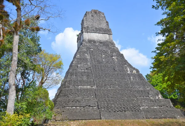 Tikal Γουατεμάλα Μαΐου 2016 Αρχαιολογικός Χώρος Του Προ Κολομβιανού Πολιτισμού — Φωτογραφία Αρχείου