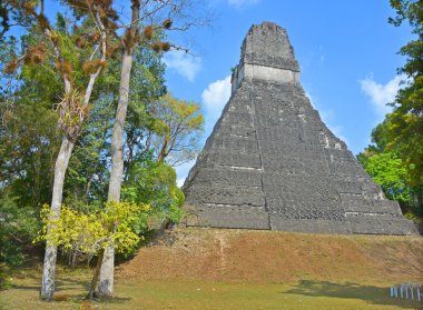 Tikal, Guatemala - 3 Mayıs 2016: Guatemala Tikal Ulusal Parkı 'ndaki Kolomb öncesi Maya uygarlığının arkeolojik alanı 1979' dan beri Unesco Dünya Mirası Alanı 'dır.