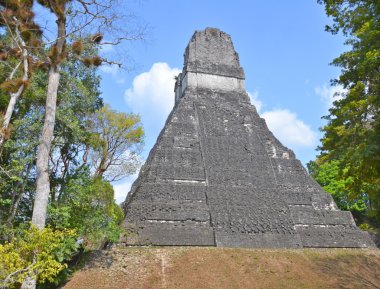 Tikal Ulusal Parkı