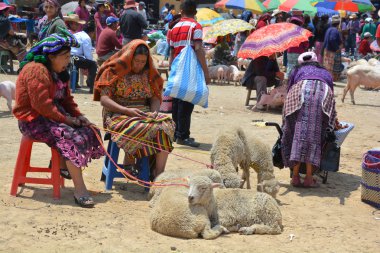 Quetzaltenango Guatemala 28 Nisan 2016: İnsanlar Quetzaltenango pazarı satıyor. Bu yerel pazar Orta Amerika 'nın en renkli pazarıdır.