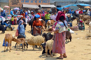 Quetzaltenango Guatemala 28 Nisan 2016: İnsanlar Quetzaltenango pazarı satıyor. Bu yerel pazar Orta Amerika 'nın en renkli pazarıdır.