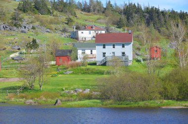 Trinity Newfoundland 12 Haziran: 12 Haziran 2014 'te Trinity Newfoundland' da bulunan tipik bir balıkçı köyü. Kasaba, eyalet tarafından Kayıtlı Miras Yapısı olarak tanınan bir dizi bina içeriyor..
