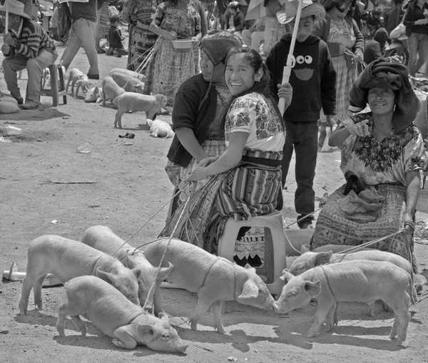 Quetzaltenango Guatemala April 2016 Quetzaltenango Maket Deze Inheemse Markt Meest — Stockfoto