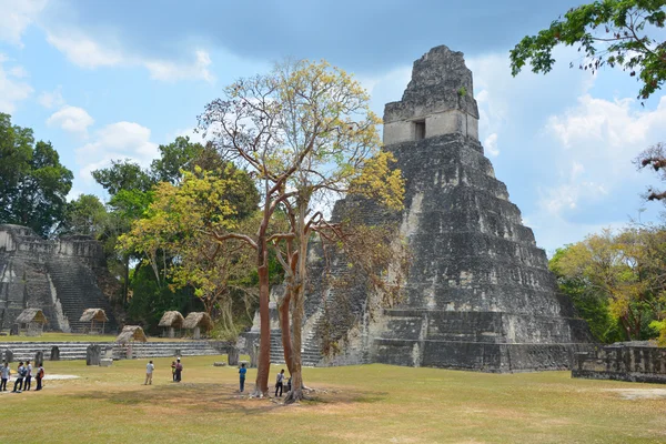 Tikal Guatemala Maio 2016 Sítio Arqueológico Civilização Maia Pré Colombiana — Fotografia de Stock