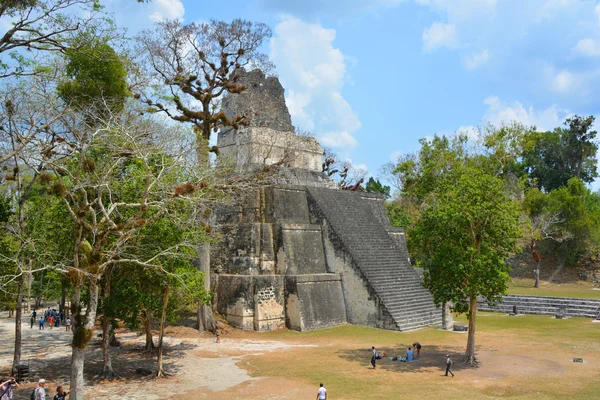 Tikal Guatemala Mayıs 2016 Guatemala Tikal Ulusal Parkı Ndaki Kolomb — Stok fotoğraf